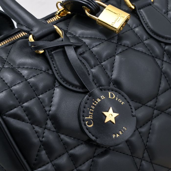 DIR Жіноча сумка Louis Vuitton