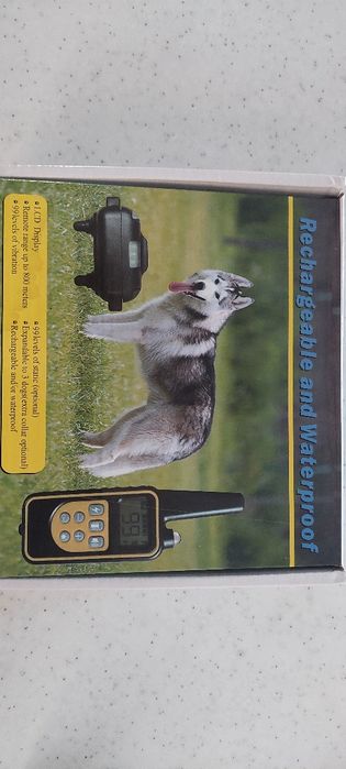 Электронный ошейник