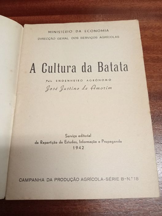Cultura do alho, melão, batata, abóbora e pepino
