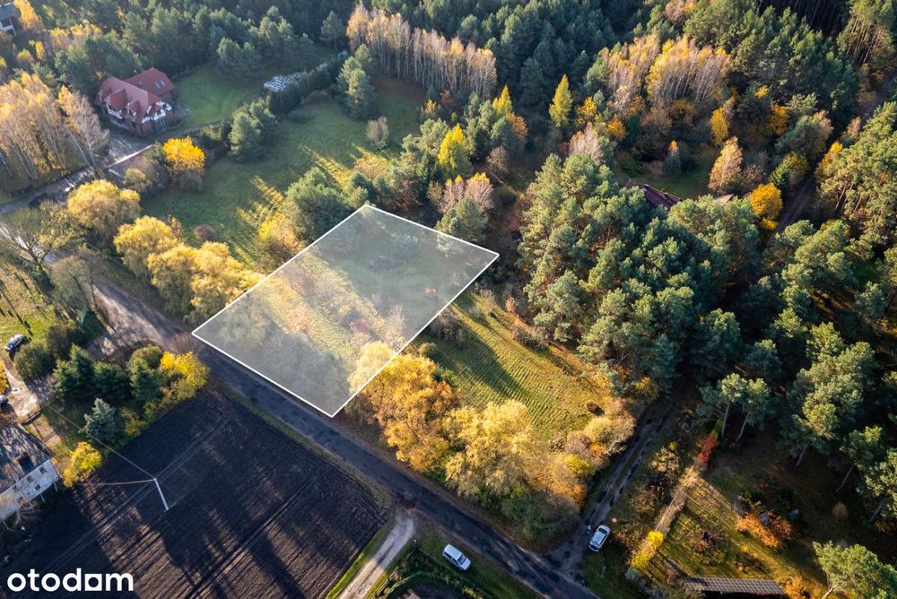 Działka budowlana tuż przy lesie WZ - Widok 2