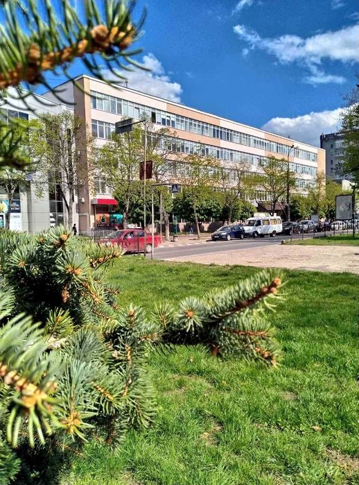 Здамо офісні приміщення. ЦЕНТР!!!