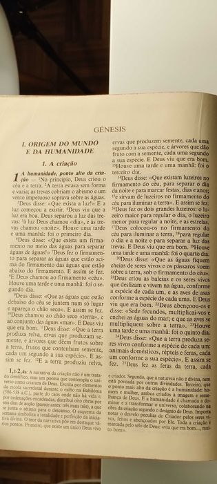 Bíblia Pastoral ilustrada por Gustave Doré 2 volumes