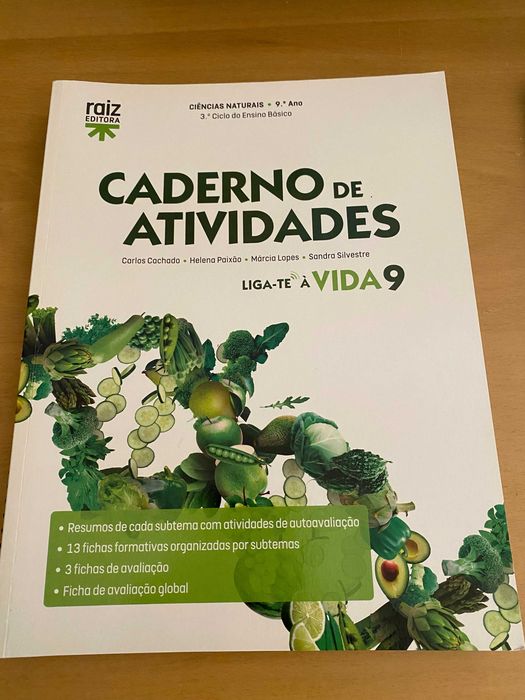 Livros Escolares ( fichas 8º e 9º ano)