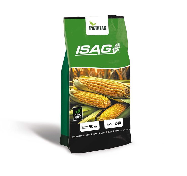 Kukurydza zaprawiana ISĄG - ziarno/kiszonka, Polska produkcja, nowość