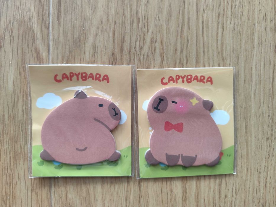 Karteczki kartki samoprzylepne kapibara capybara 2 sztuki