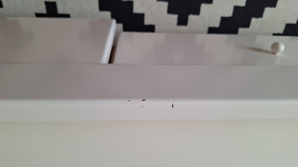 Cama Solteiro em Madeira