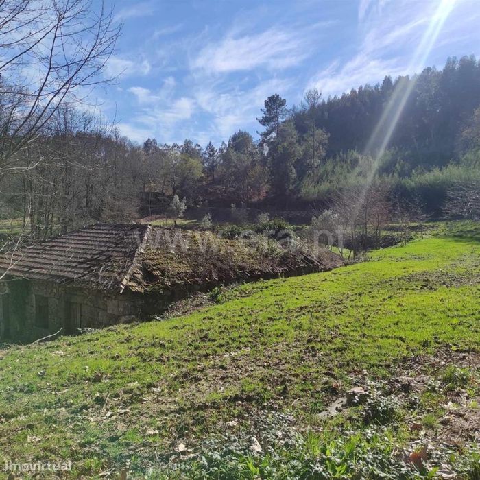 Quinta em Arnóia - Celorico de Basto