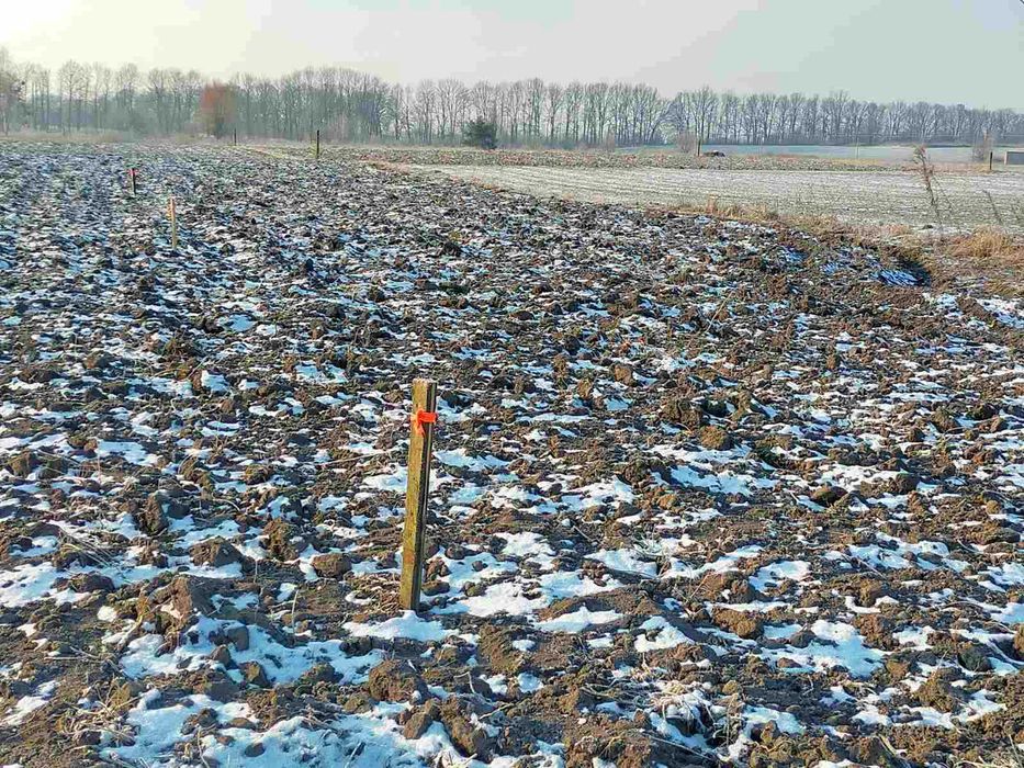 Земельна ділянка