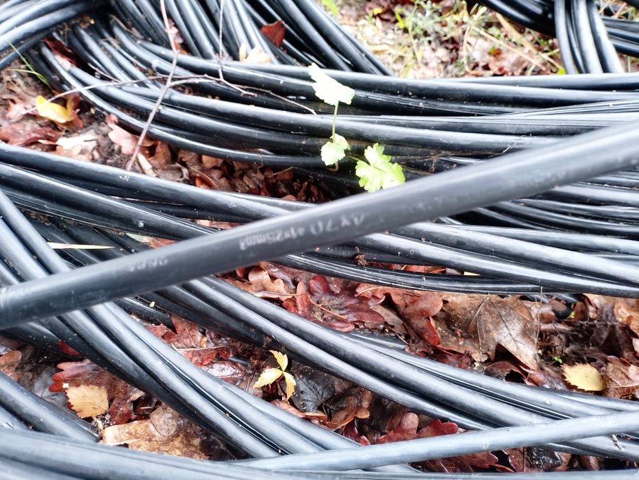 AsXSn 4x70+25 kabel elektryczny
