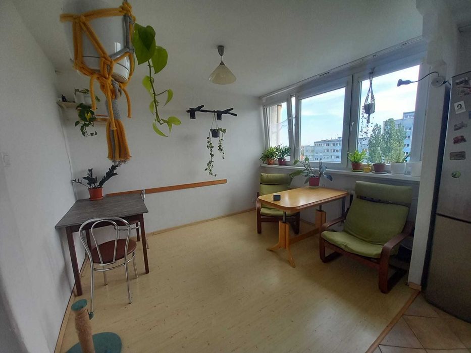 pokój jednoosobowy w okolicy Magnolii