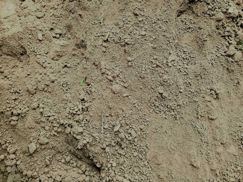 Ziemia Humus pod trawnik, krzewy, warzywa,do ogrodu,transport