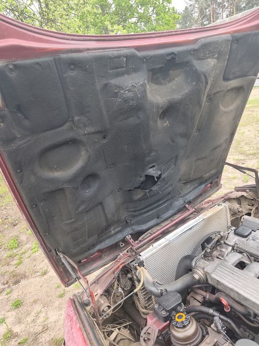 Капот Bmw E34 вузький шумка Бмв узкая морда  дорестайл