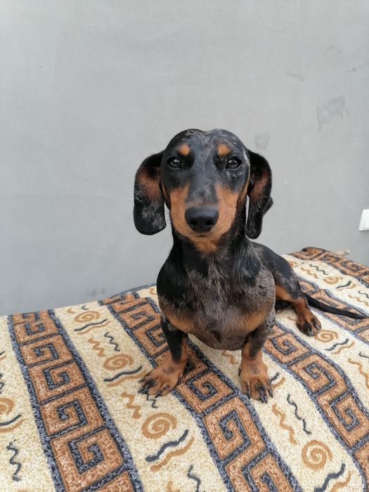 Пропонуємо в'язку