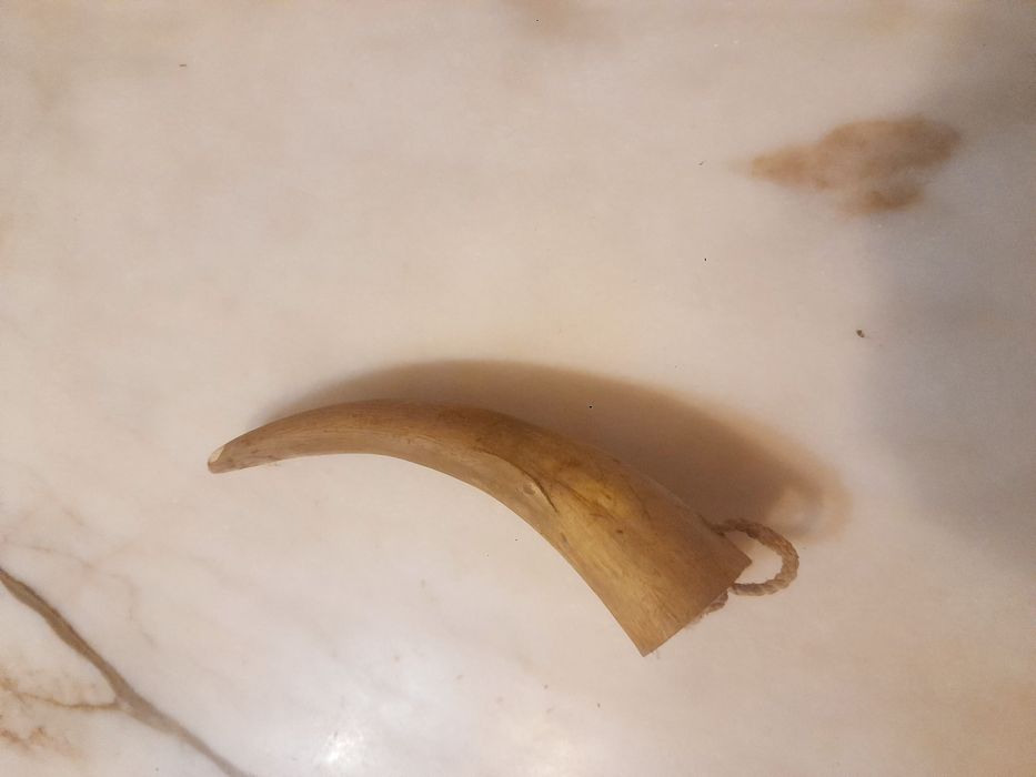Chifre Decorativo e Dente de Javali