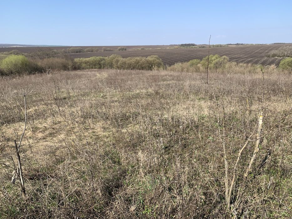 Продам земельну ділянку