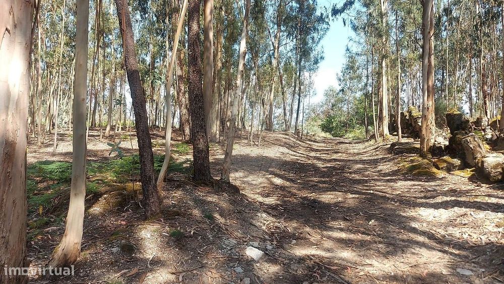 Terreno  para venda