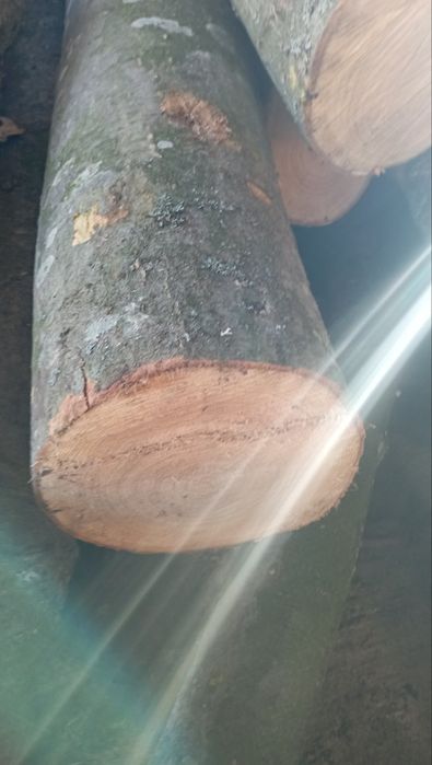 Дрова колотые дуб, ясень