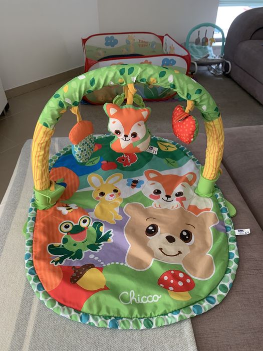 Ginásio de atividades para bebé (Chico)
