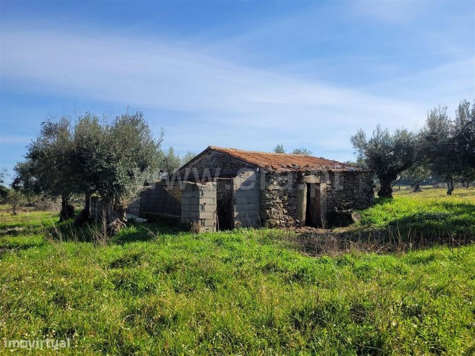 Quintinha / Fundão, Atalaia do Campo