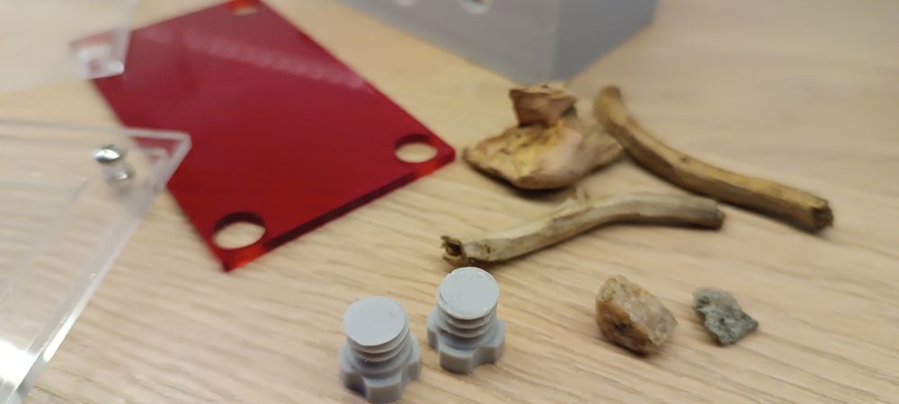 Formikarium dla mrówek