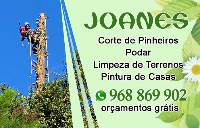 Corte de arvores podar