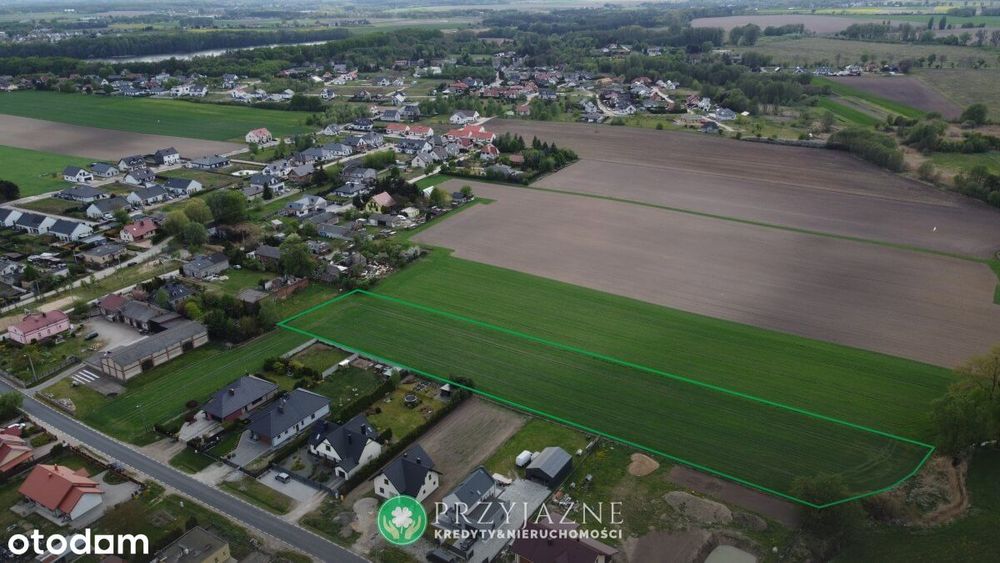 Ogromna działka z domem - miejscowość Główna, gm. Pobiedziska - Widok 6