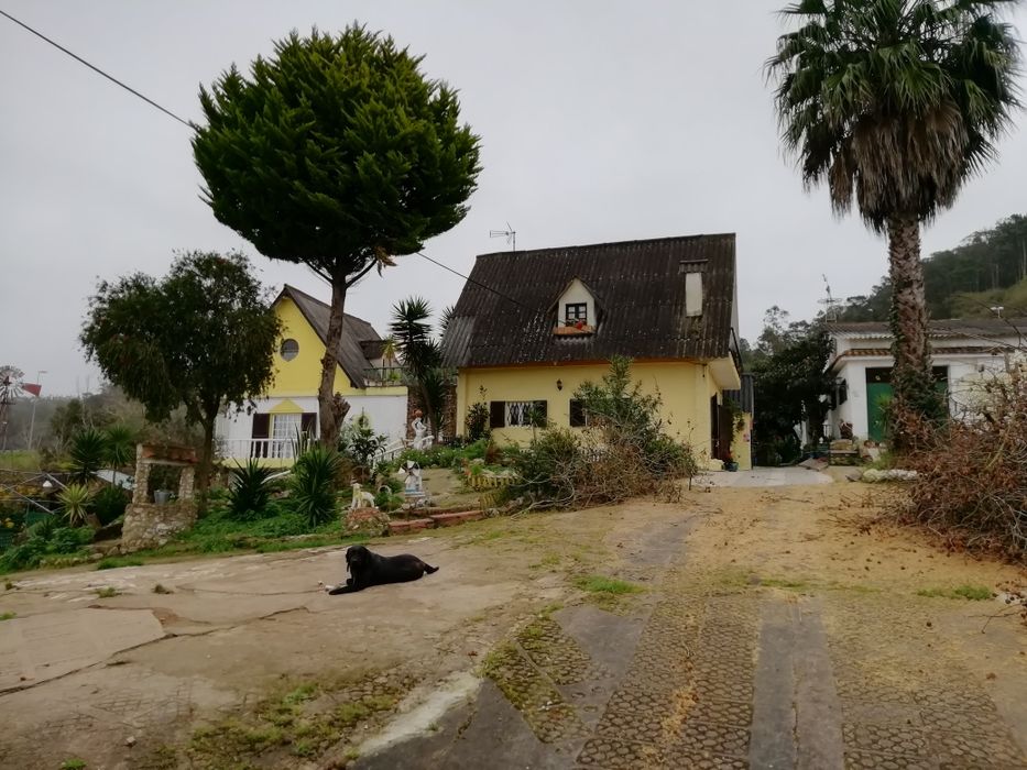 QUINTINHA COM 2.840m2. A 50 minutos de Lisboa. Casa com cerca de 200m2