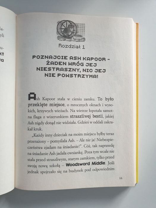 Książka minecraft