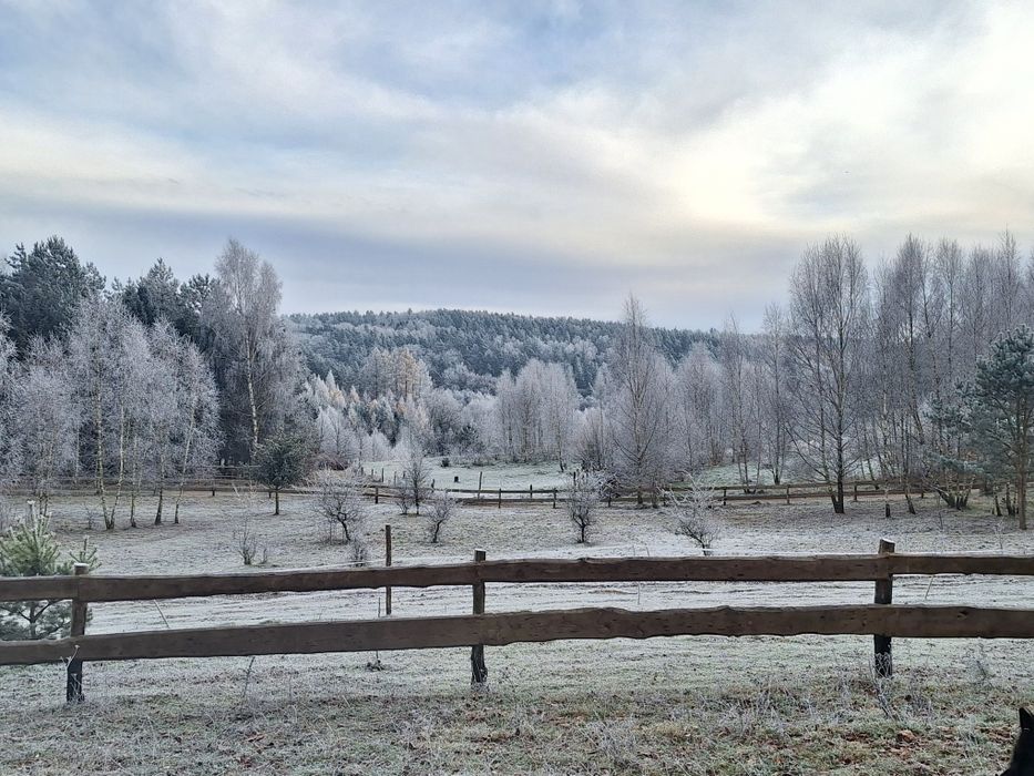 Siedlisko Drzewina - domek na wsi,  blisko wyciągu  narciarskiego