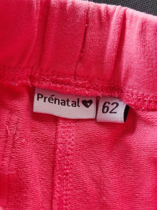 Spodnie spodenki dresy Prenatal rozm 62
