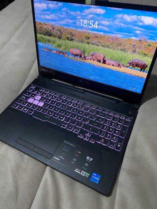 Portátil Asus TUF F15