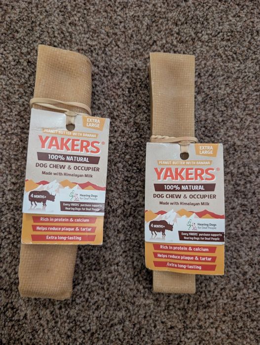 Ser himalajski dla psa