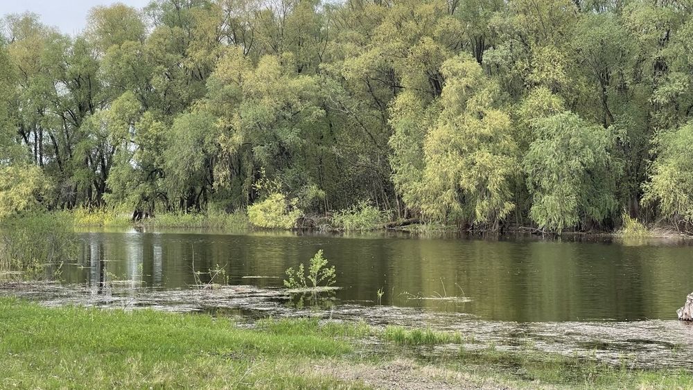Продам дачу в Жавінці