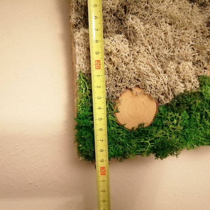 Obraz mech chrobotek stabilizowany drewno juta dekoracja