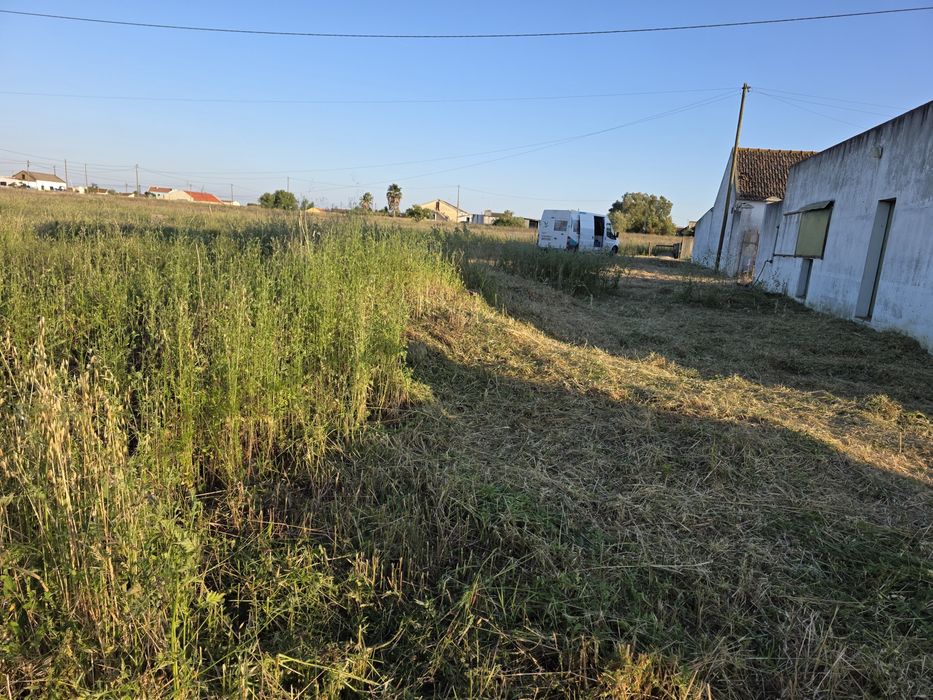 Limpeza de terrenos com roçadora