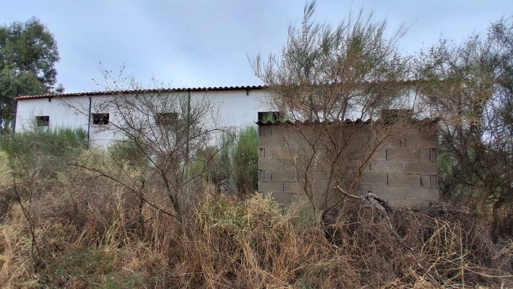 Terreno em São Miguel De Acha