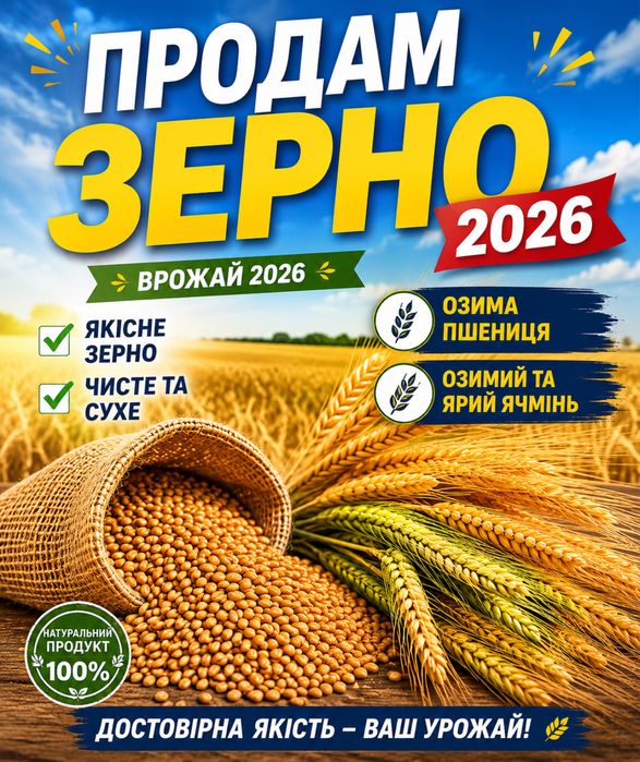 Продам пшениця ячмінь