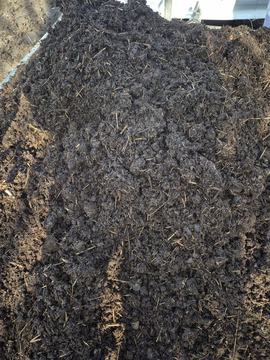 Obornik gnój koński rozdrobniony