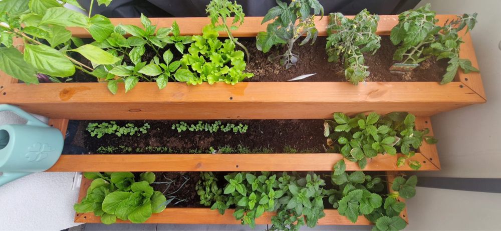 Donica balkonowa, ogrodowa