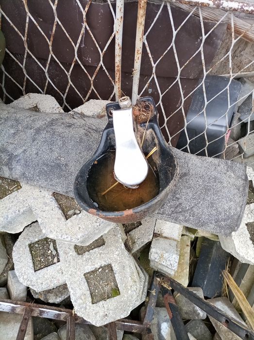 Poidło dla koni bydła