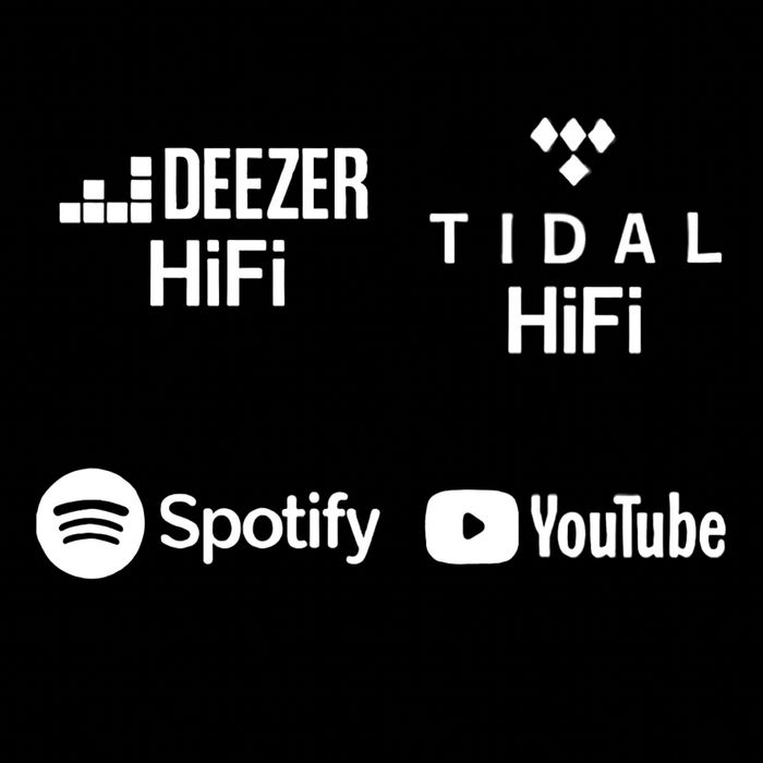 Deezer HiFi | Tidal Hifi | Дезеер | Тидал — на ваш аккааунт.