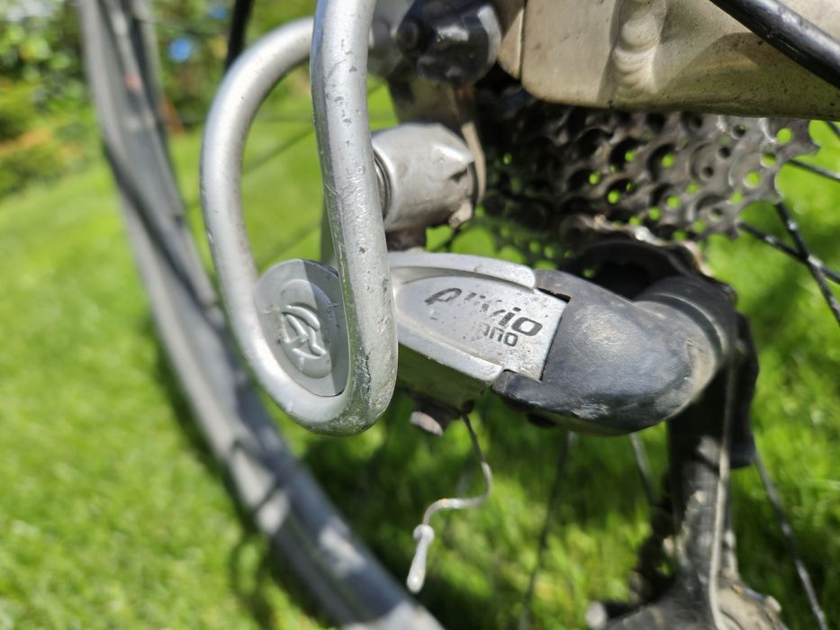 Rower Batavus Europę rama 61