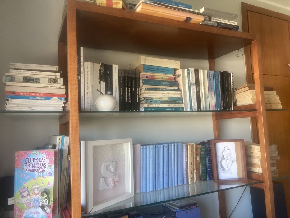 Estante madeira e vidro