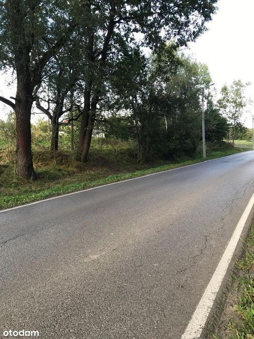 Zdjęcie 7