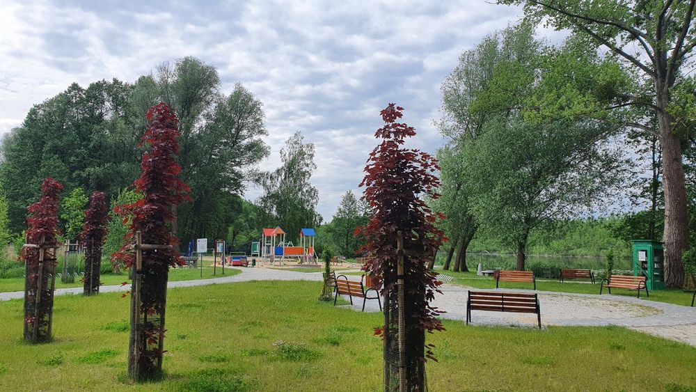Dzialka budowlana blisko jeziorka w Sekowie – pohled 5