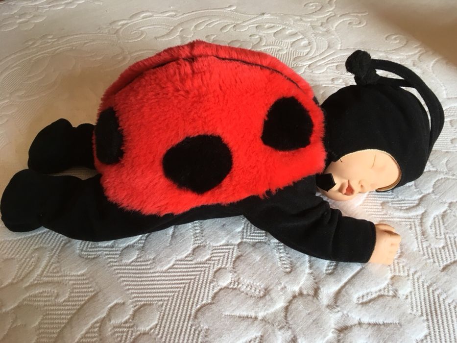 Bebe joaninha anne geddes