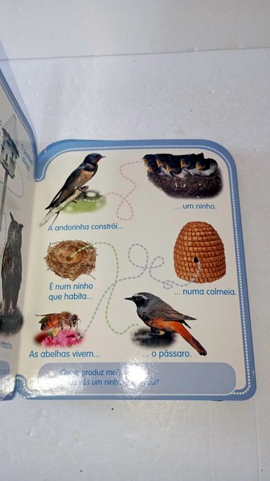 Livros da Coleção - descobre os Animais