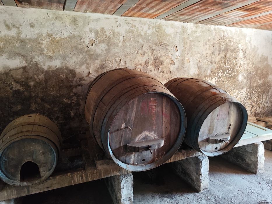 Pipos de vinho usados
