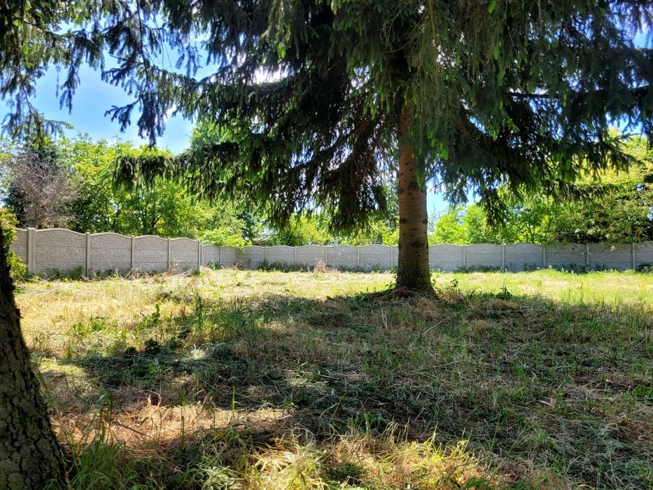 Zdjęcie 3