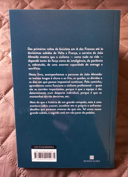 João Almeida e a Montanha Mágica - Gonçalo Moreira